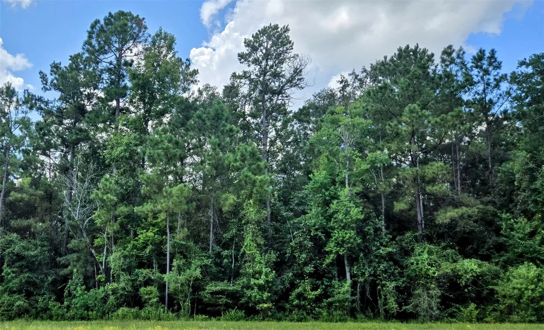 Photo of 319 Exploration Road