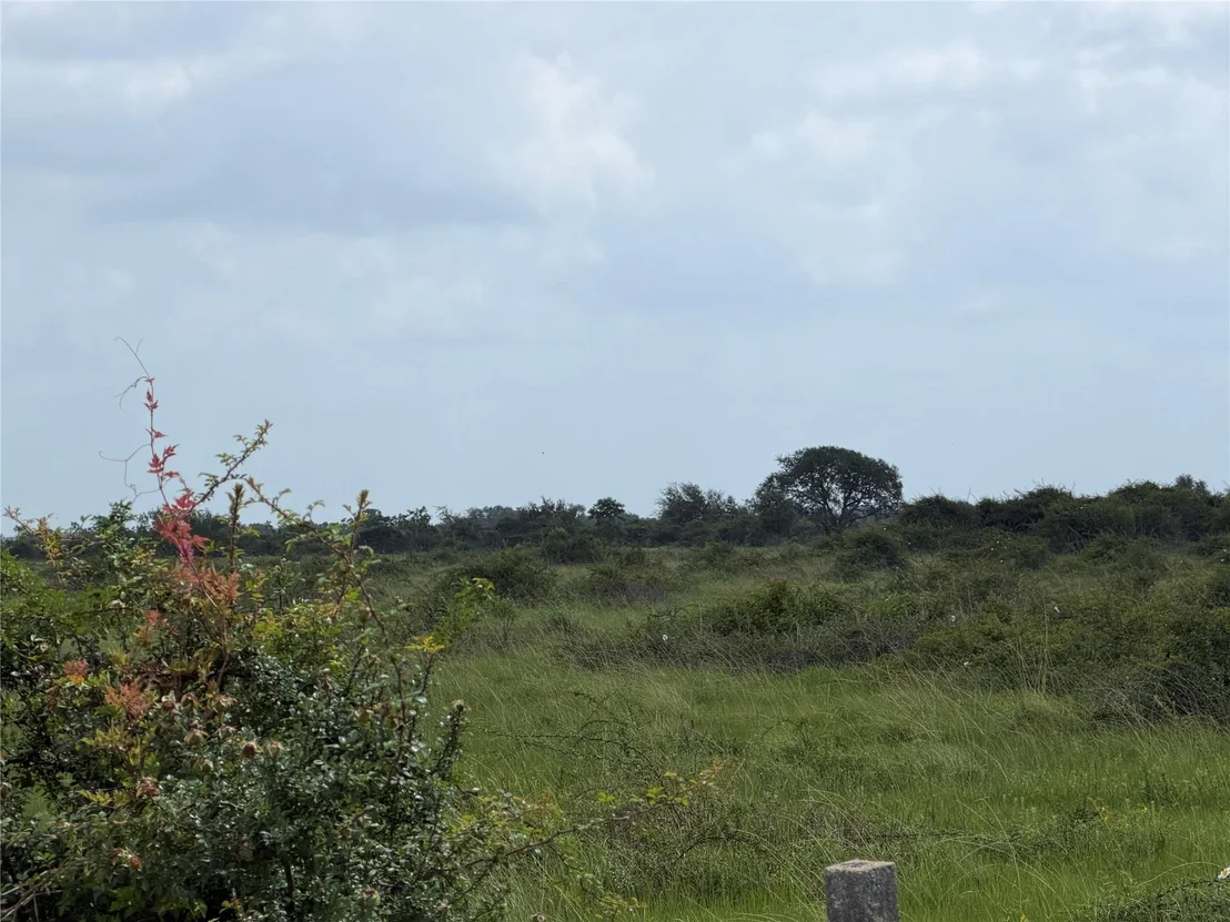 Photo of 0 Fm 616