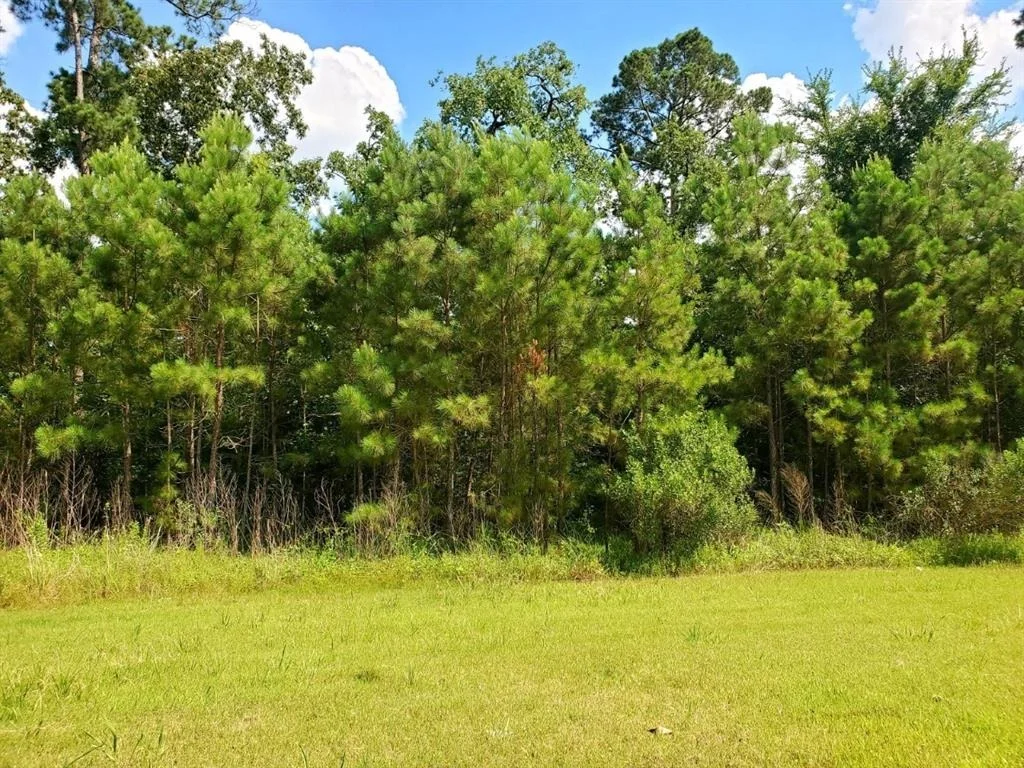 Photo of 73 Kings Lake Estates Boulevard