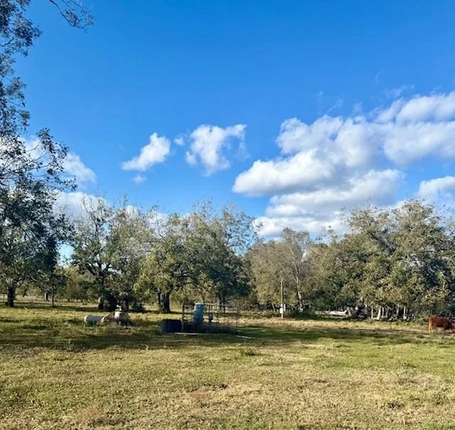 Photo of 2108 County Road 740