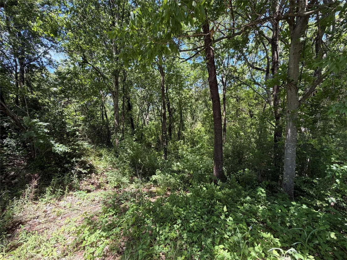 Photo of 1341 & 1343 Waikiki Trail
