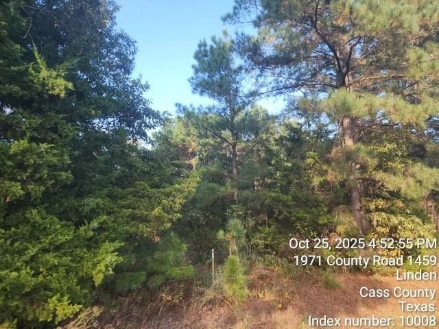 Photo of 938 County Road 1244 Road