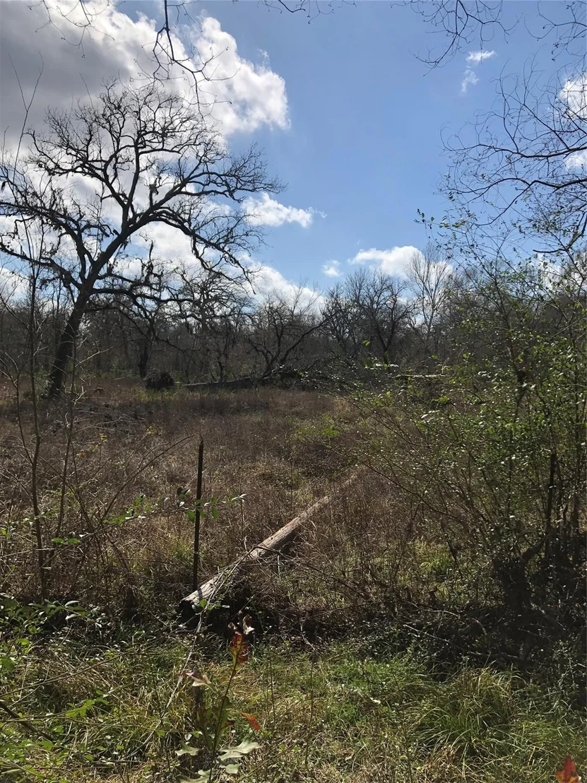 Photo of 13284 Calhoun Road