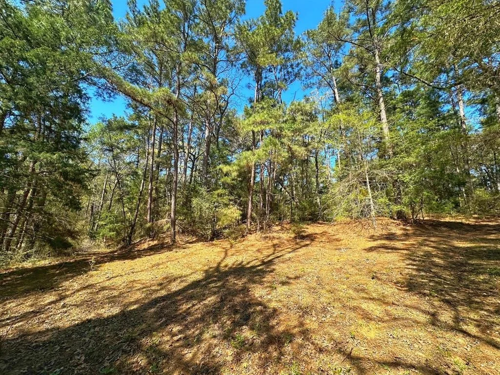 Photo of 751 Cr 121