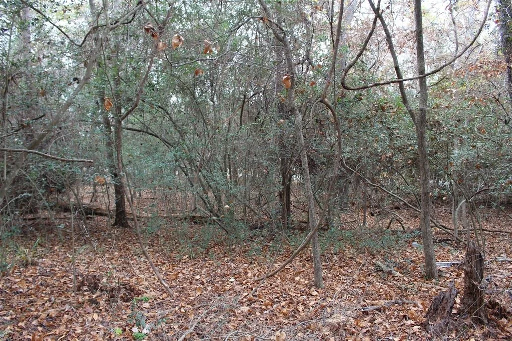 Photo of 225 Dailey Road