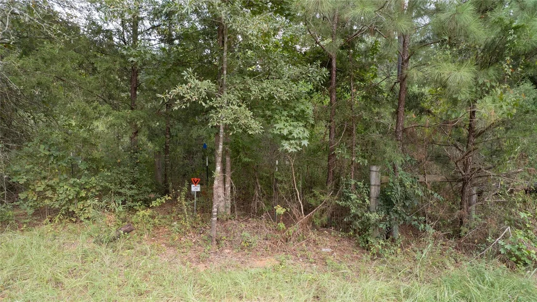 Photo of 770 County Rd 1675