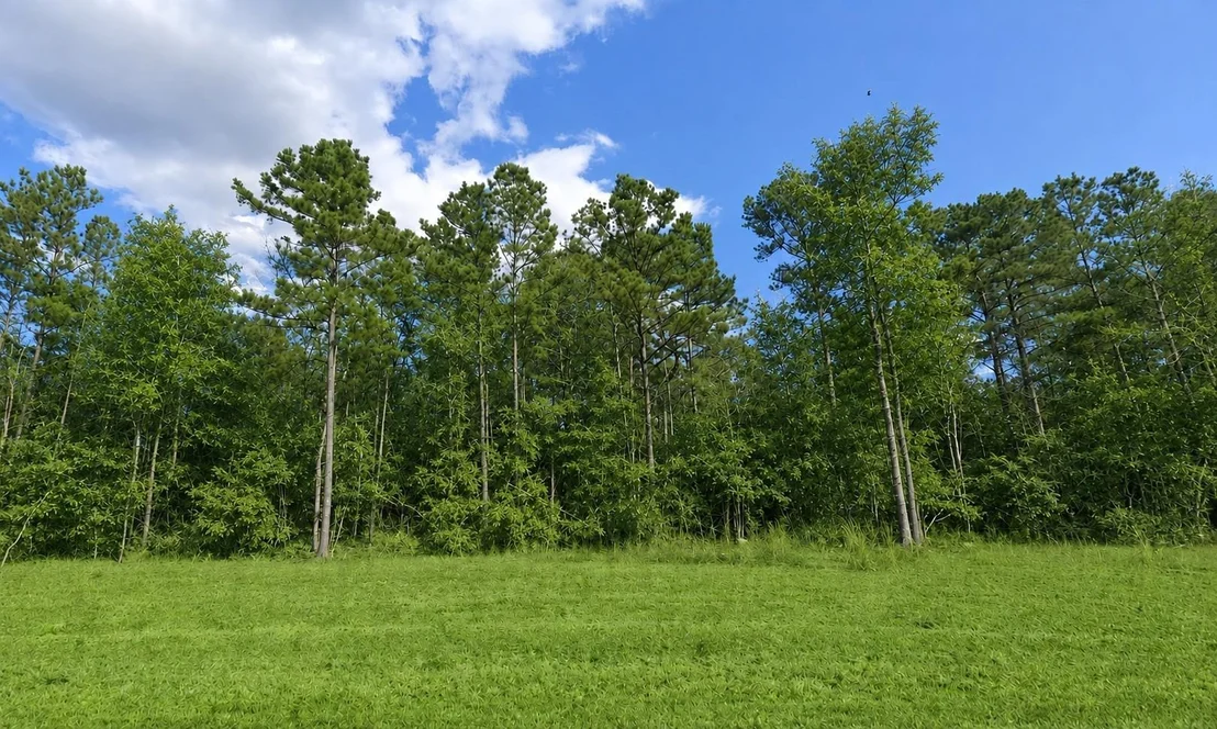 Photo of 15586 Republic Ranch Road N