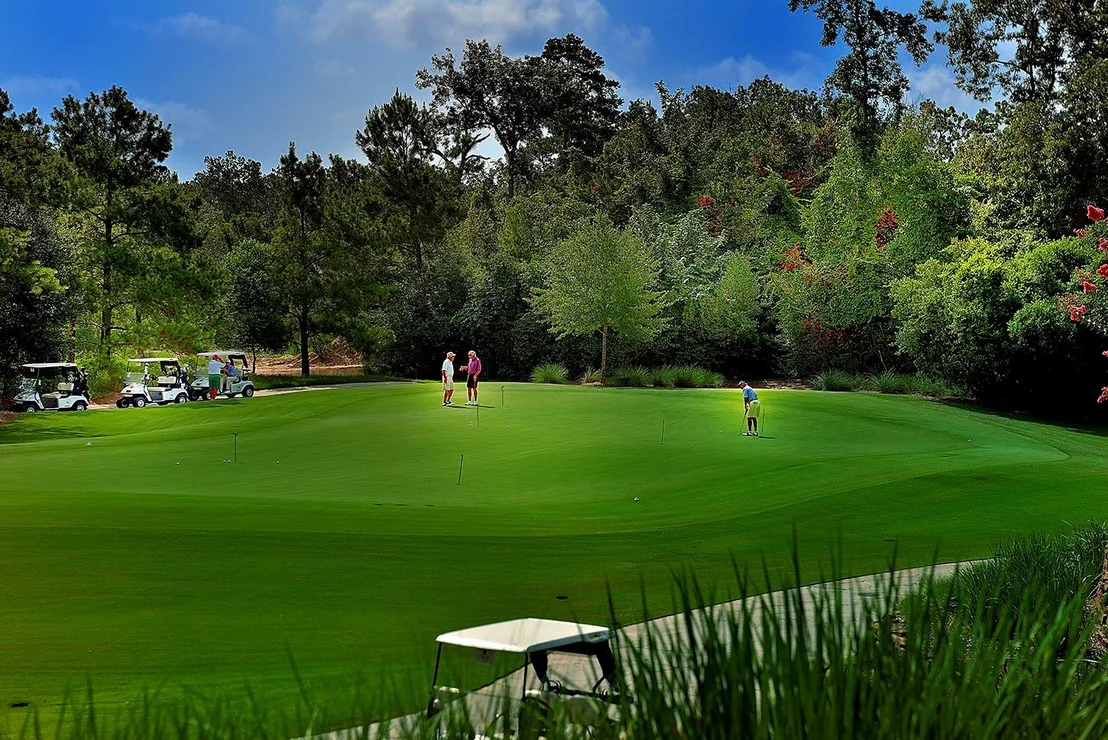 Photo of 18 N Badger Lodge Circle