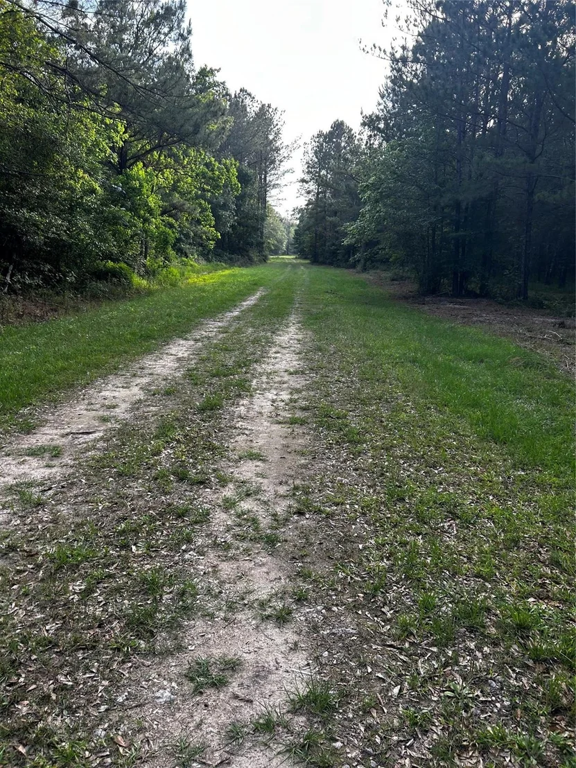 Photo of 0 County Line Road