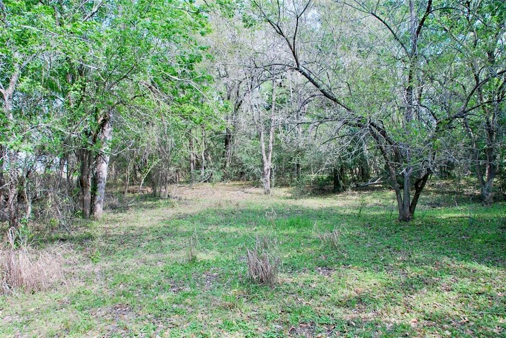 Photo of 1801 County Road 381
