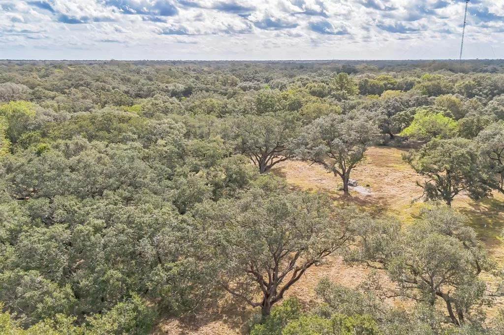 Photo of 2932 County Road 126