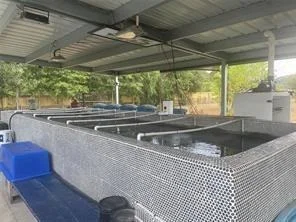 Photo of 16188 Lone Star Ranch Drive