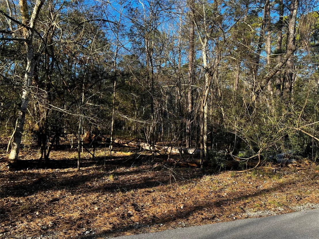 Photo of 172 N Fairway Loop