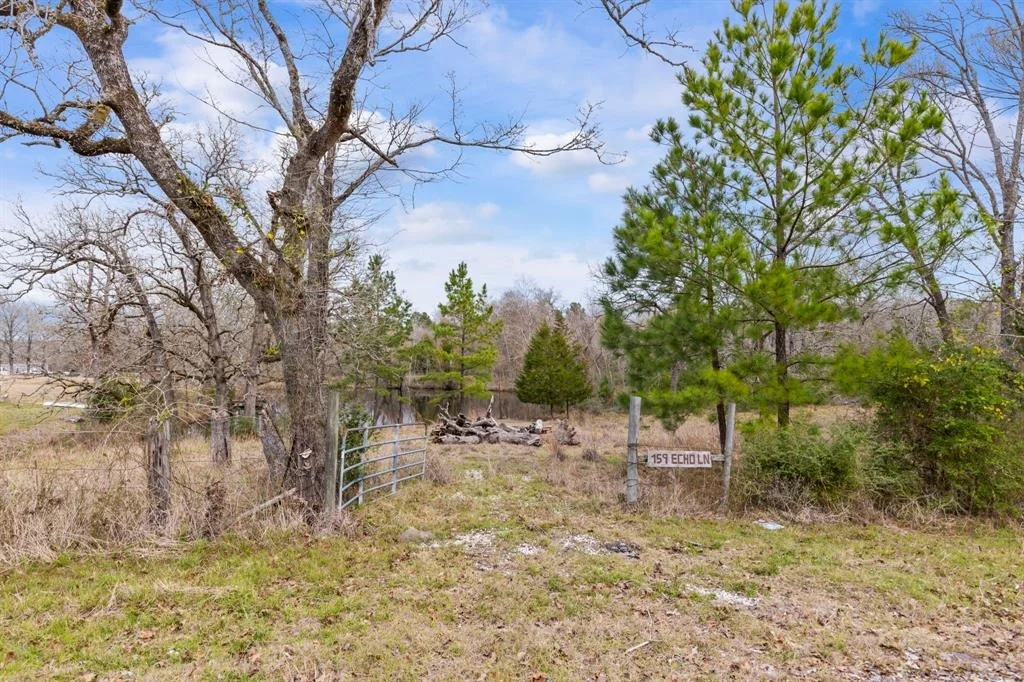 Photo of 159 Echo Lane