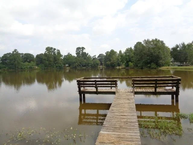 Photo of 600 Bullfrog Lane