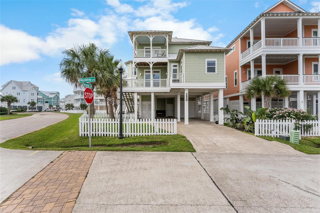Photo of 3830 Wentletrap