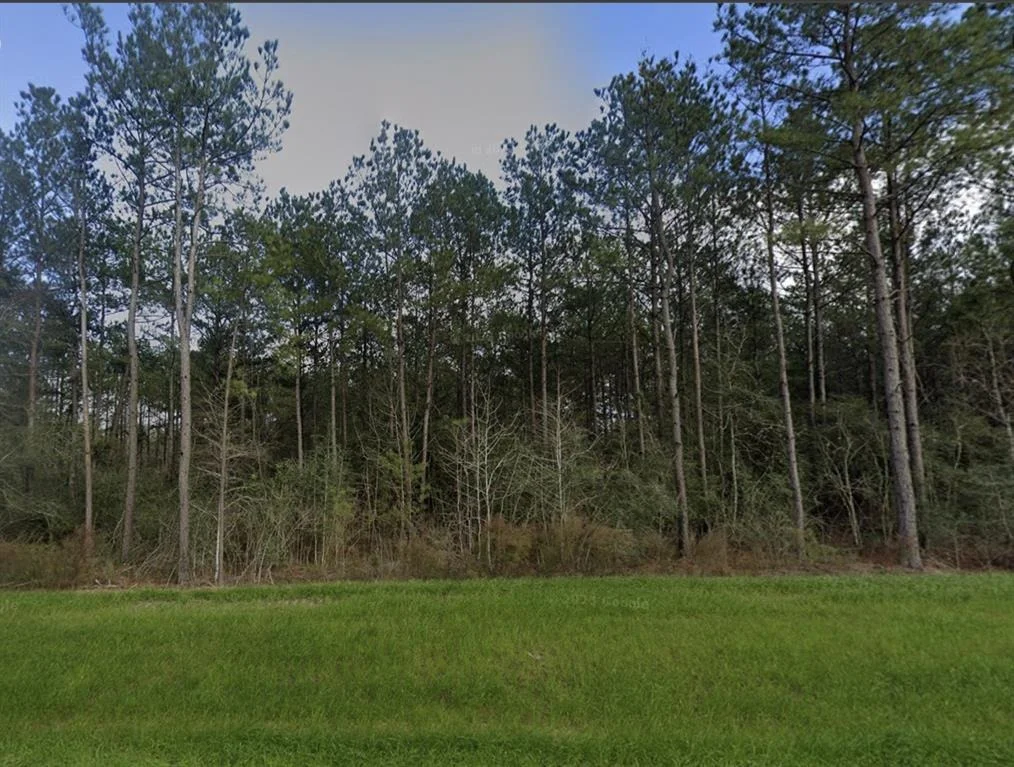 Photo of 15931 Forest Grove Drive