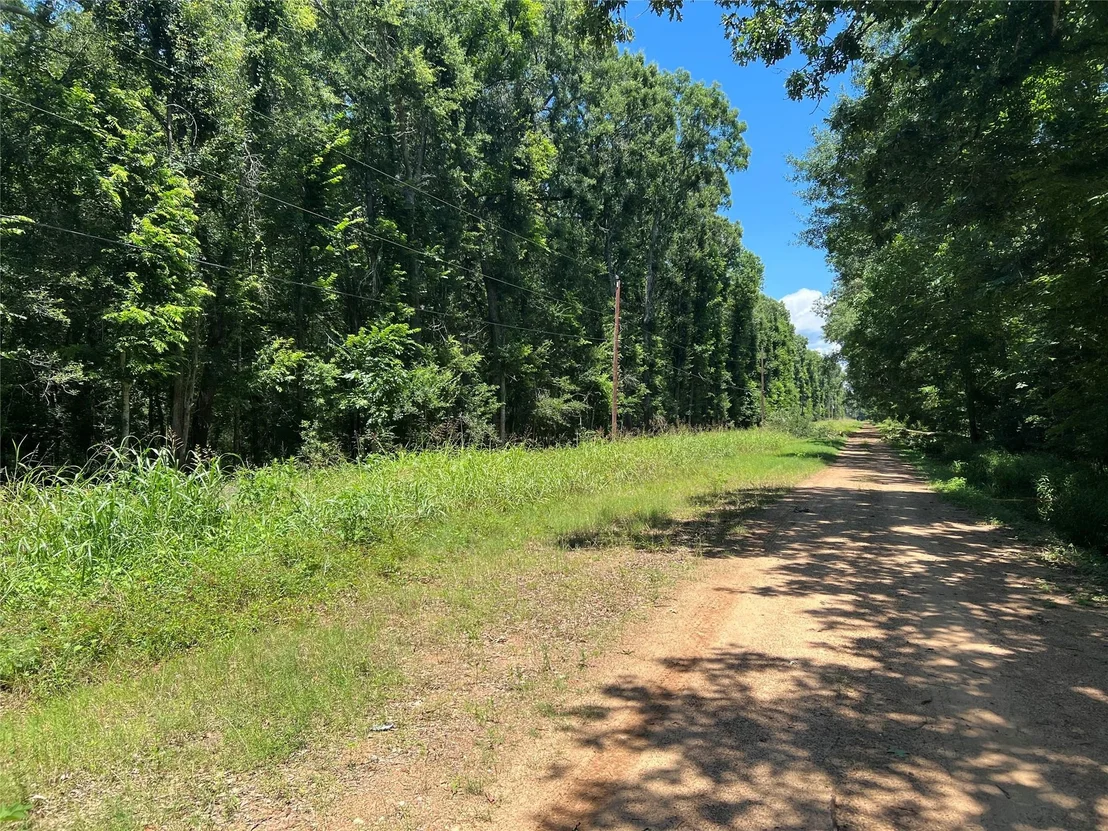 Photo of 000 Holt Street