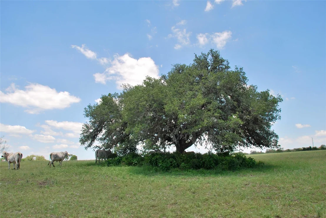Photo of 2116 Langdon Road