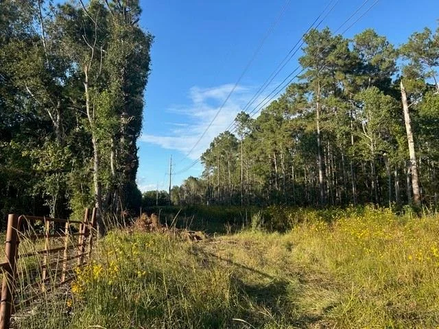Photo of Tract 45, 46 Tx-61 Pr 117