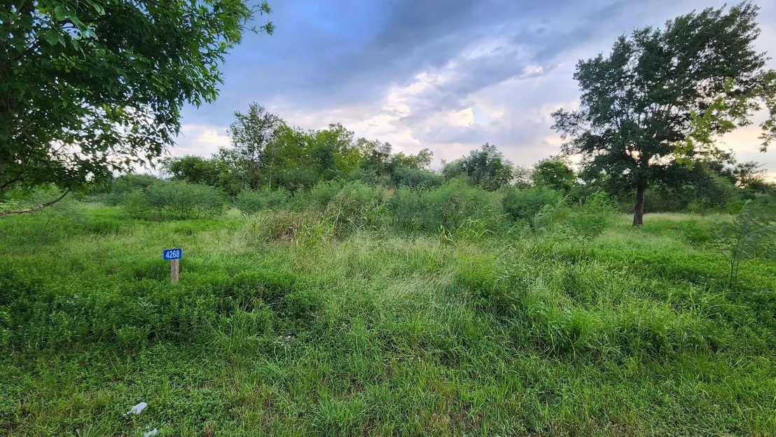 Photo of 4268 Sealy Road