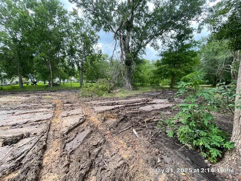 Photo of 10371 County Road 909
