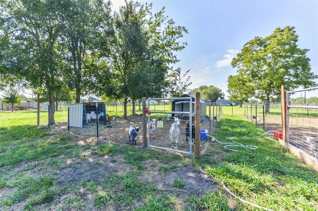 Photo of 5947 Mockingbird Lane