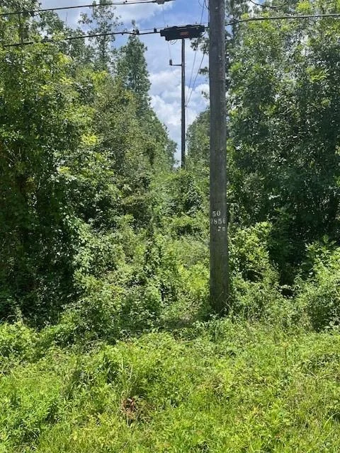 Photo of 13994 Walker Road