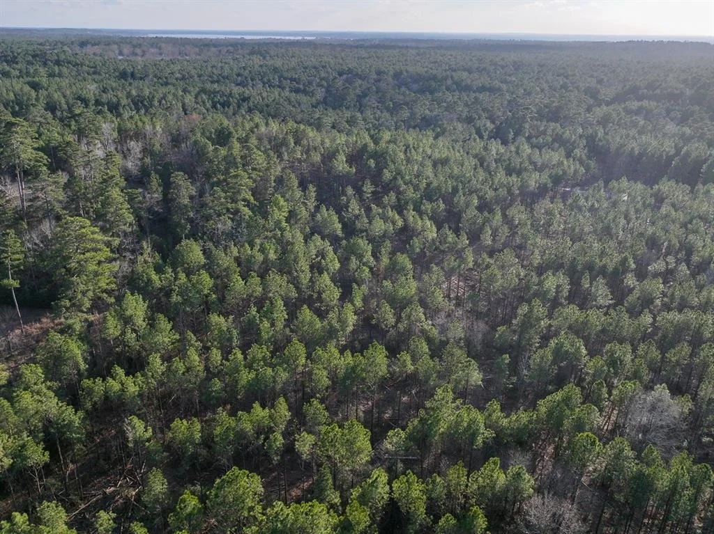 Photo of TBD Off Fm 355