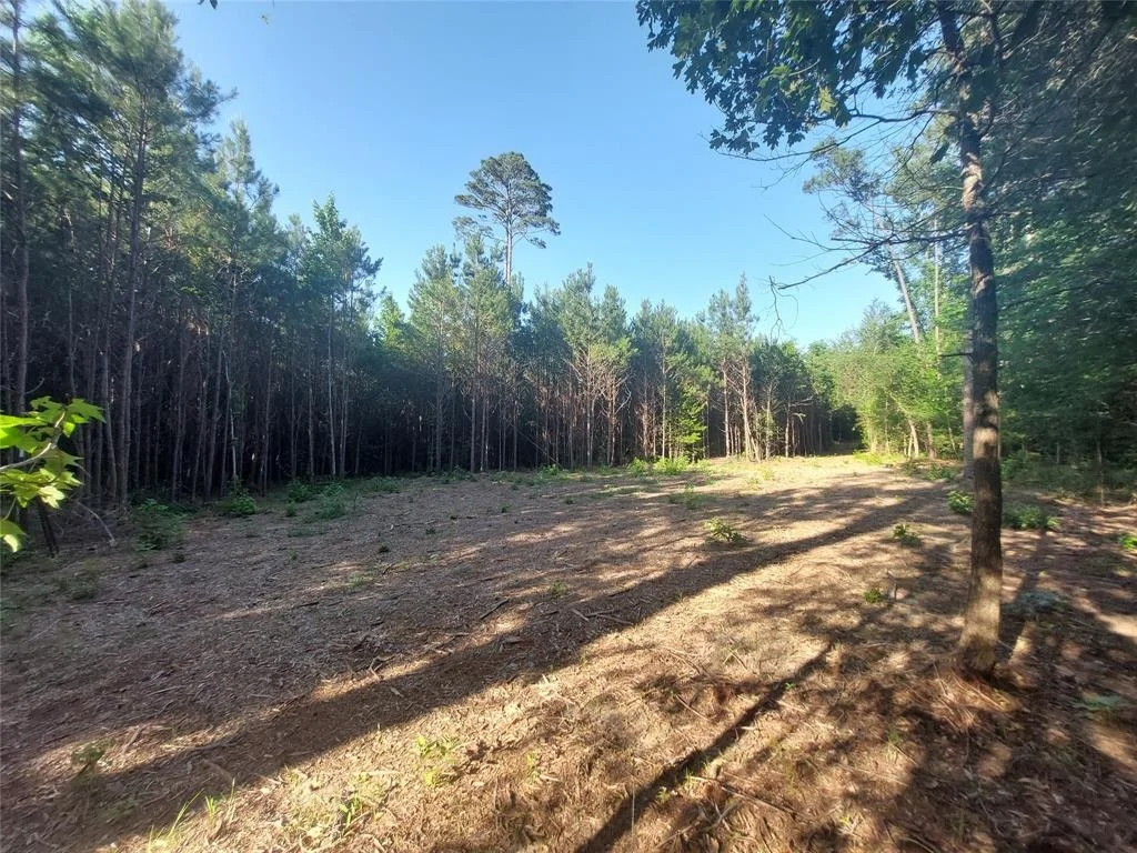 Photo of 526 Pleasure Point