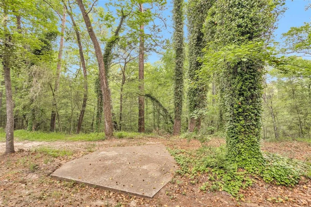 Photo of 24614 Spruce