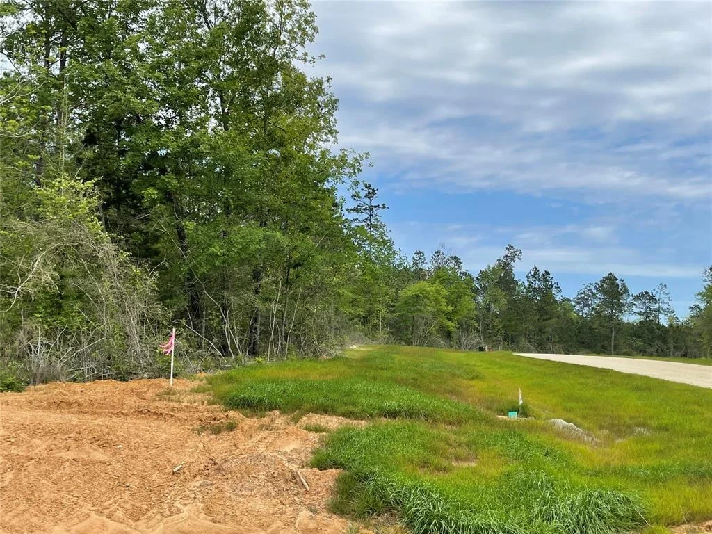 Photo of 11911 Grand North Road
