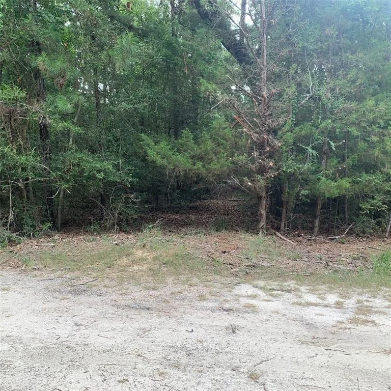 Photo of TBD Post Oak Ct