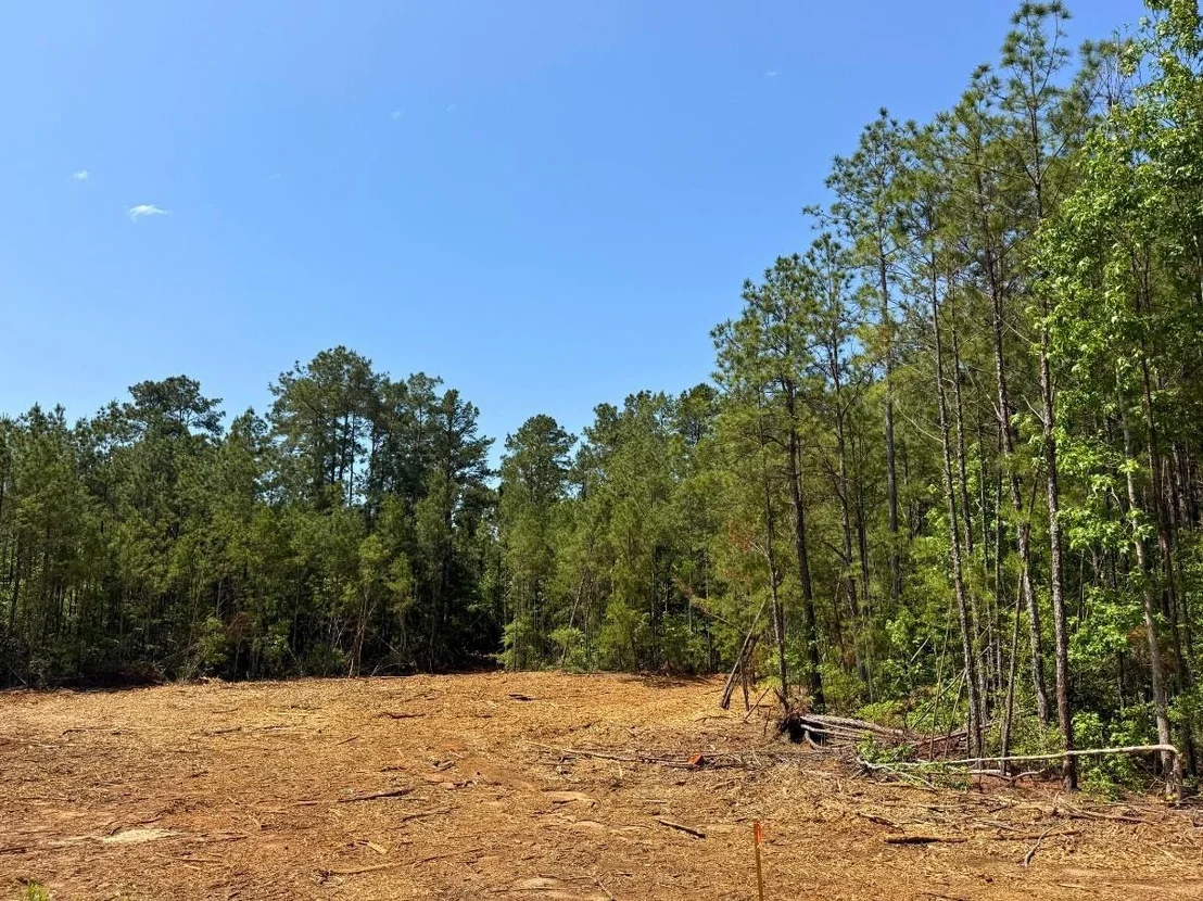 Photo of 4 Camp Ruby Road
