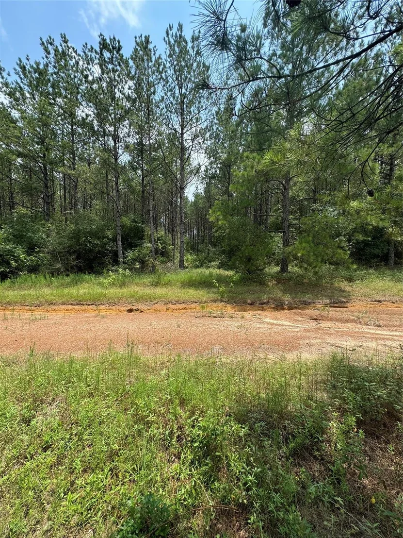 Photo of 10634 Forest Mill Road