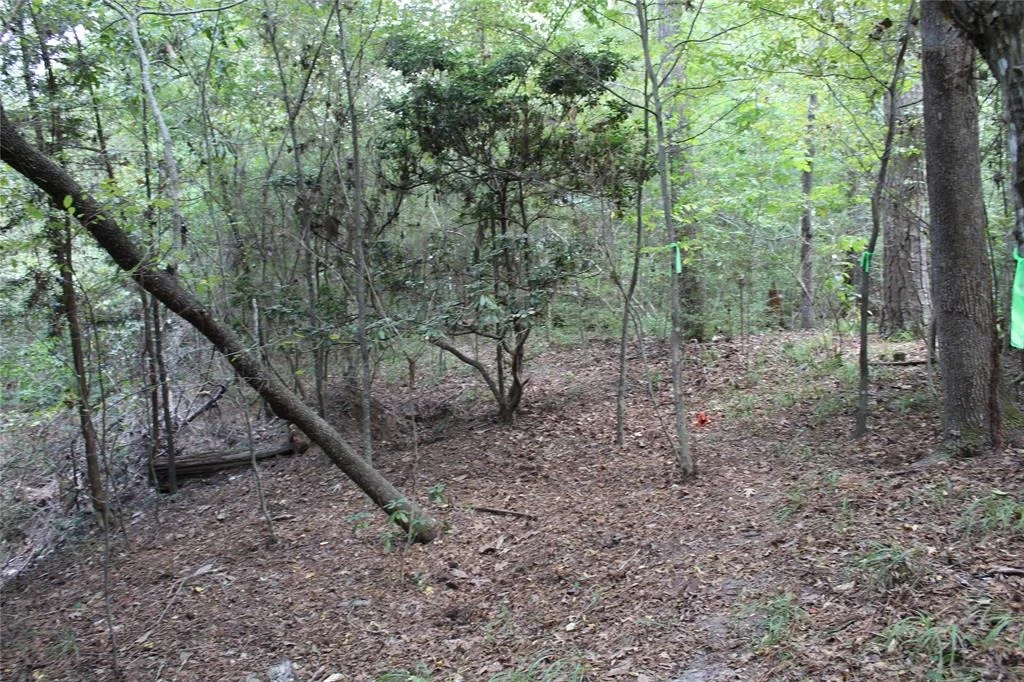 Photo of 1901 Lakeview Estates Drive