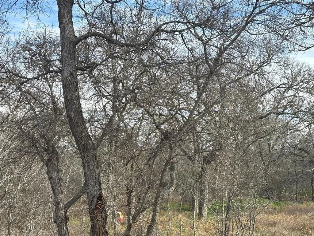 Photo of 245 Elm Forest Loop