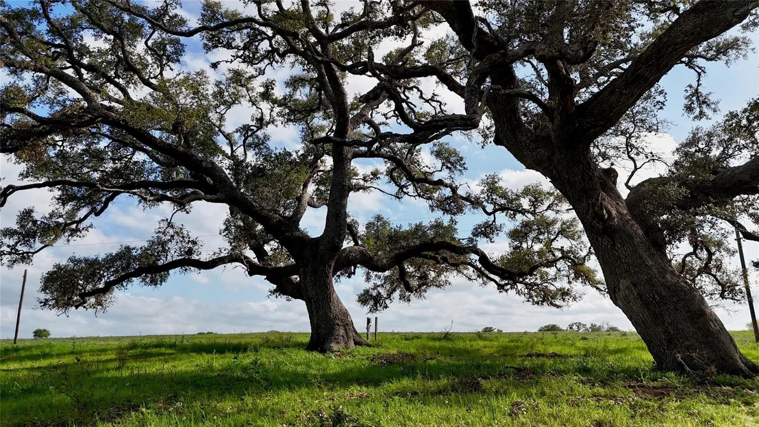 Photo of 494 County Road 217c