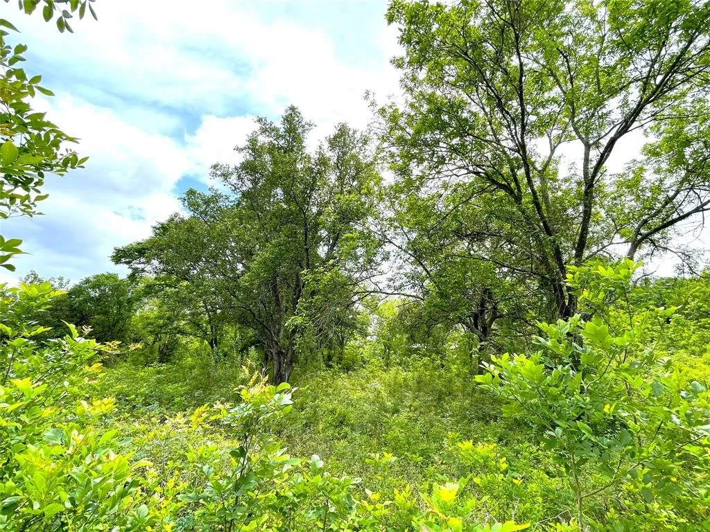 Photo of 5135 County Road 288