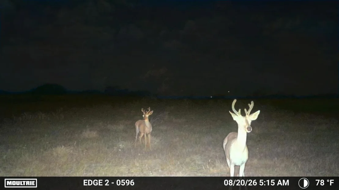 Photo of 000 S Hwy 281