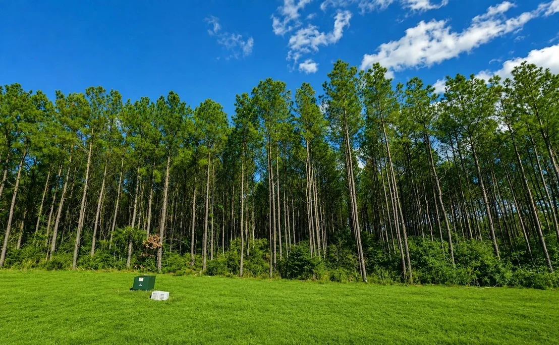 Photo of 12856 Oak Barrel Road