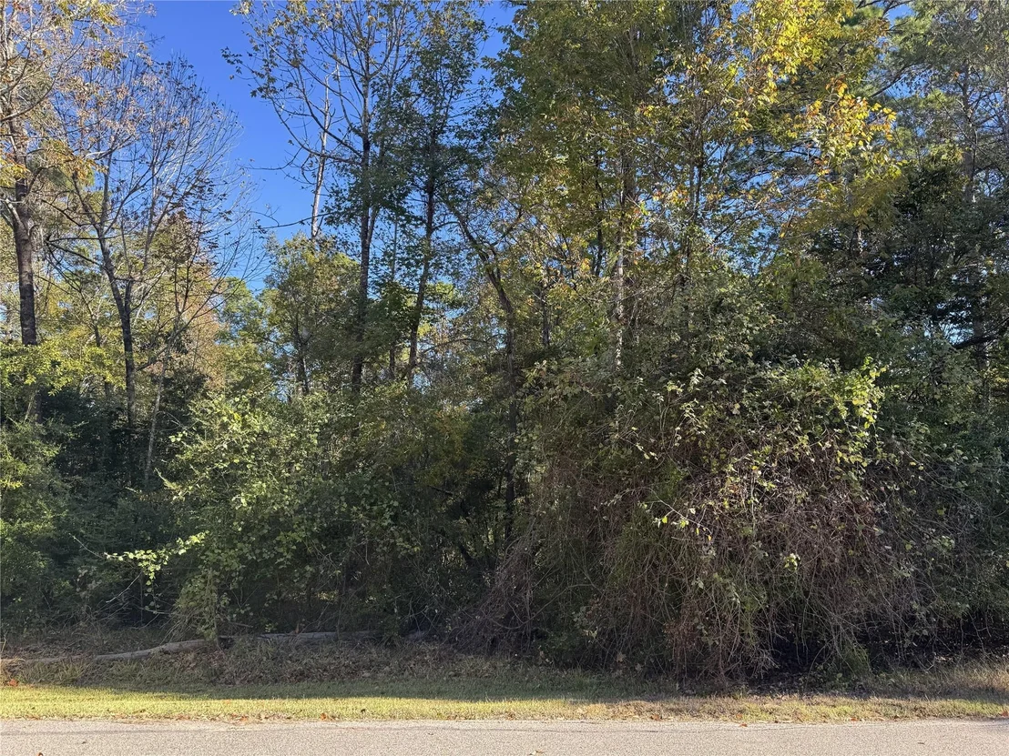 Photo of 54 N Fairway Loop