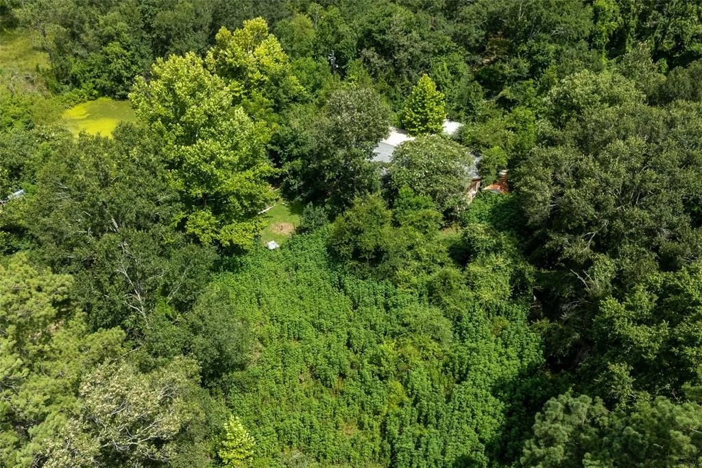 Photo of 21981 White Oak Drive
