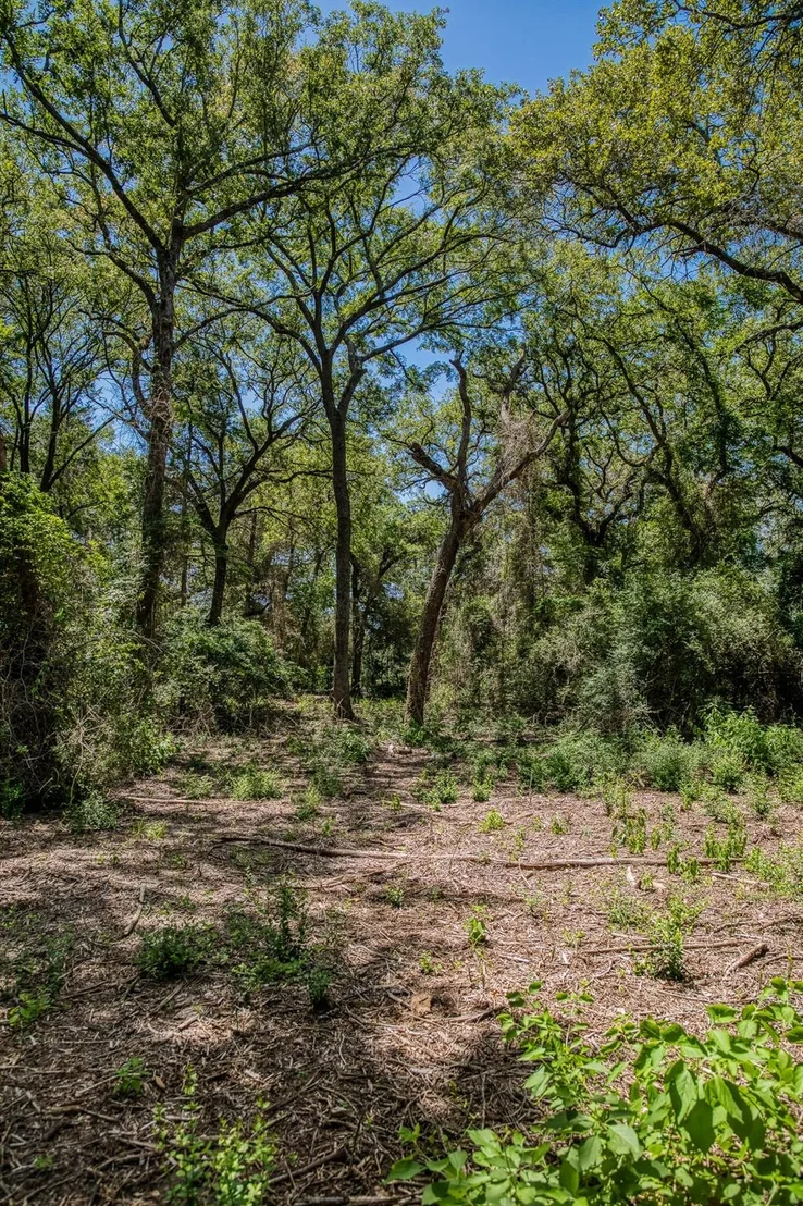 Photo of 1972 County Road 324