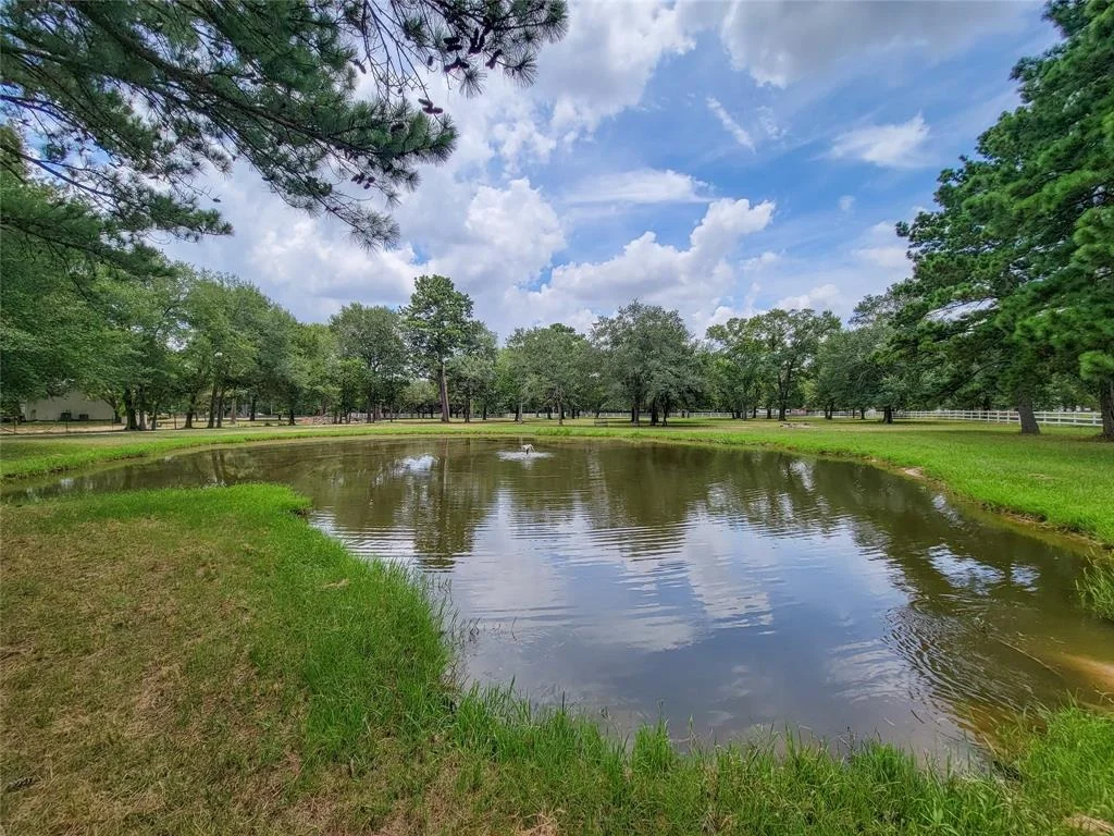 Photo of 20312 Bauer Hockley Road