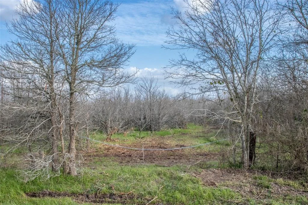 Photo of 10366 County Road 276