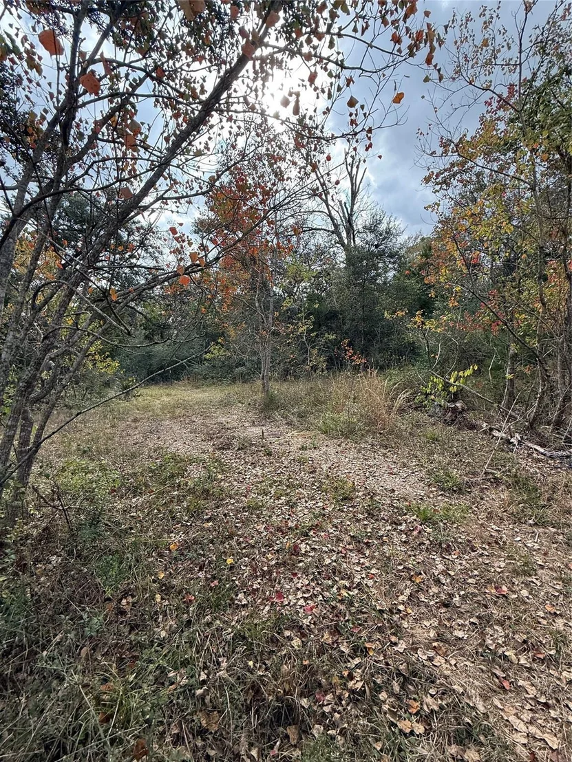 Photo of 0 Fm-1459