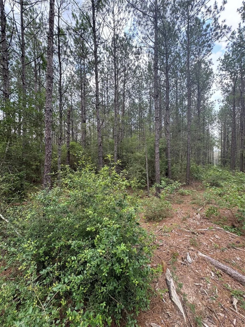 Photo of 10634 Forest Mill Road
