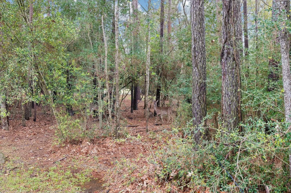 Photo of 13219 Salem Circle