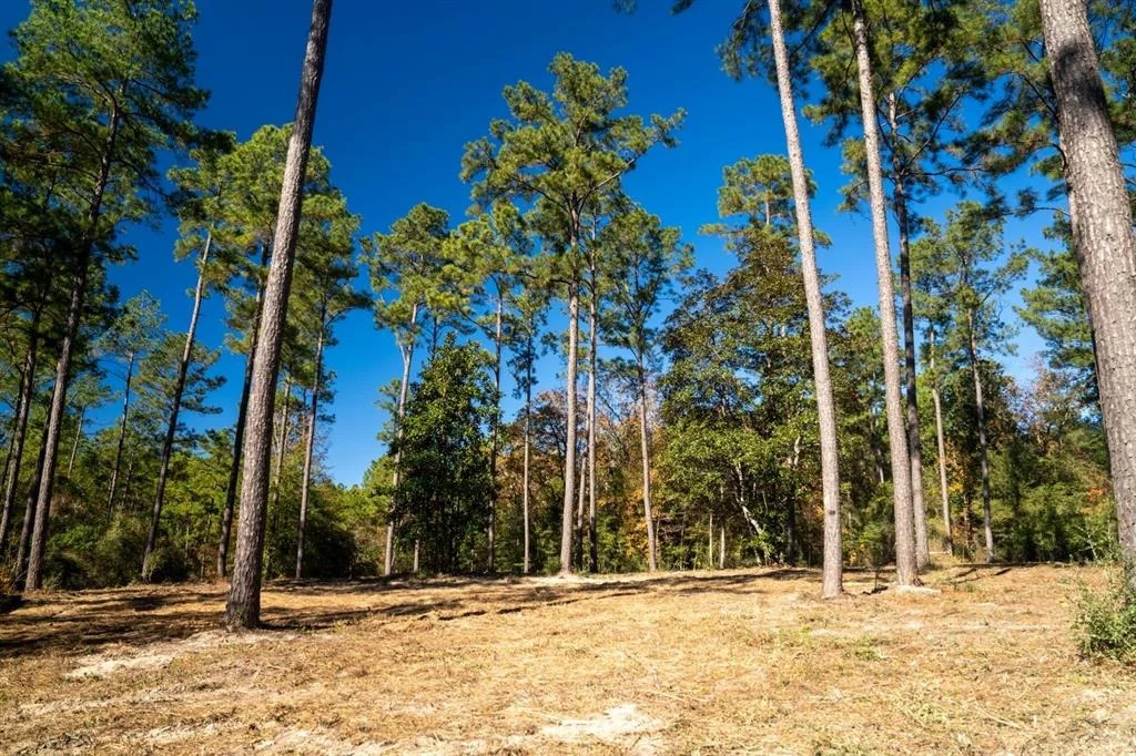 Photo of 445 County Road 3190